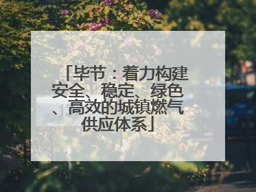 毕节：着力构建安全、稳定、绿色、高效的城镇燃气供应体系