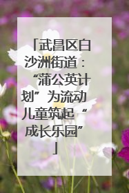 武昌区白沙洲街道：“蒲公英计划”为流动儿童筑起“成长乐园”