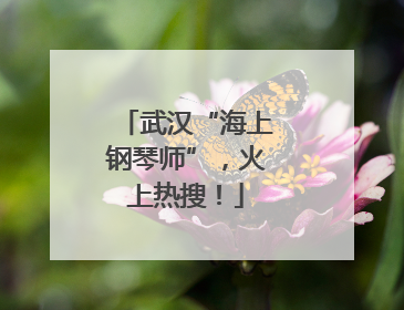 武汉“海上钢琴师”，火上热搜！