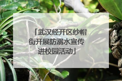 武汉经开区纱帽街开展防溺水宣传进校园活动