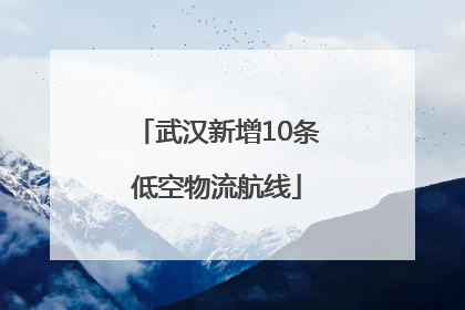 武汉新增10条低空物流航线