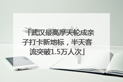 武汉最高摩天轮成亲子打卡新地标，半天客流突破1.5万人次