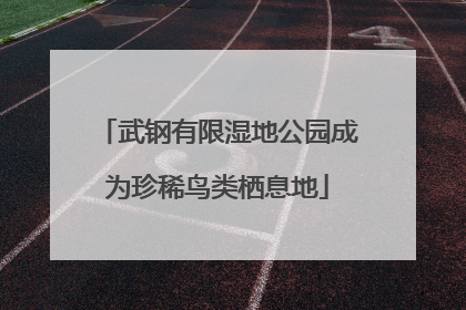 武钢有限湿地公园成为珍稀鸟类栖息地