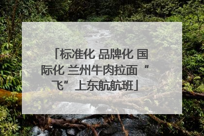 标准化 品牌化 国际化 兰州牛肉拉面“飞”上东航航班