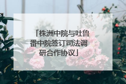 株洲中院与吐鲁番中院签订司法调研合作协议