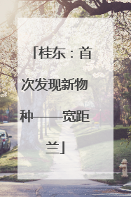 桂东：首次发现新物种——宽距兰