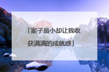 案子虽小却让我收获满满的成就感