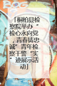 桐柏县检察院举办“检心永向党，青春铸忠诚”青年检察干警“实”迹展示活动