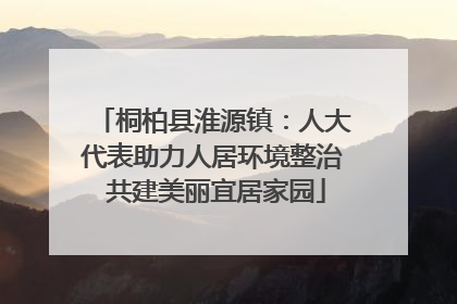 桐柏县淮源镇：人大代表助力人居环境整治 共建美丽宜居家园