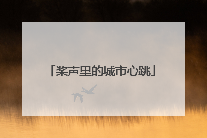 桨声里的城市心跳