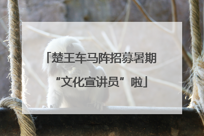楚王车马阵招募暑期“文化宣讲员”啦