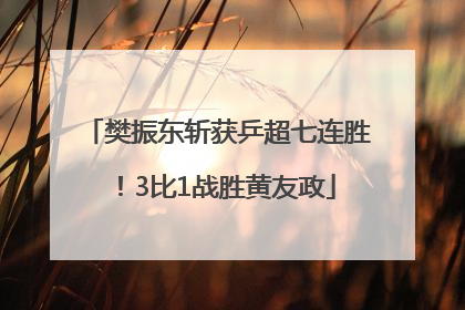 樊振东斩获乒超七连胜！3比1战胜黄友政
