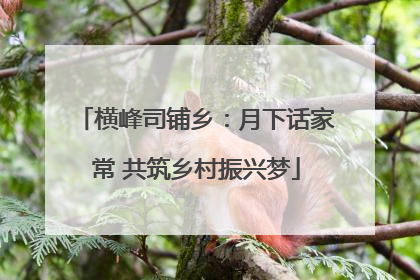 横峰司铺乡：月下话家常 共筑乡村振兴梦