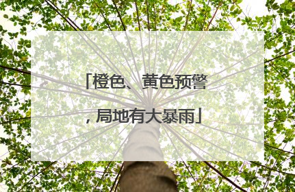 橙色、黄色预警，局地有大暴雨