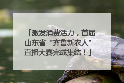 激发消费活力，首届山东省“齐鲁新农人”直播大赛完成集结！
