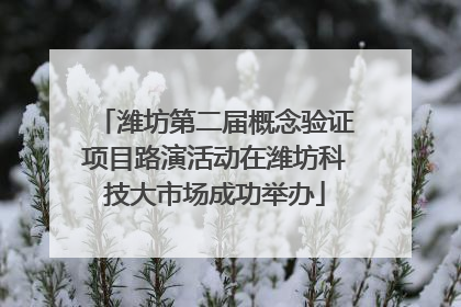 潍坊第二届概念验证项目路演活动在潍坊科技大市场成功举办