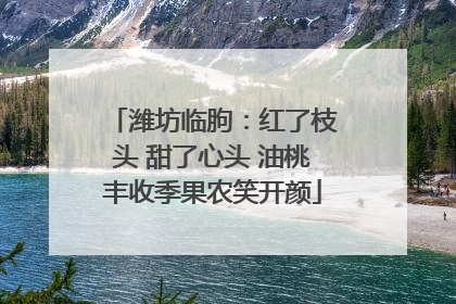 潍坊临朐：红了枝头 甜了心头 油桃丰收季果农笑开颜