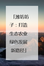 潍坊坊子：打造生态农业绿色发展新路径