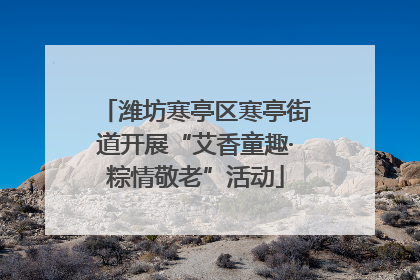 潍坊寒亭区寒亭街道开展“艾香童趣·粽情敬老”活动