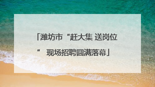 潍坊市“赶大集 送岗位” 现场招聘圆满落幕
