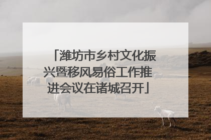 潍坊市乡村文化振兴暨移风易俗工作推进会议在诸城召开