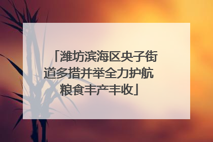 潍坊滨海区央子街道多措并举全力护航粮食丰产丰收