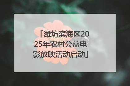 潍坊滨海区2025年农村公益电影放映活动启动