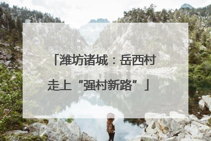 潍坊诸城：岳西村走上“强村新路”