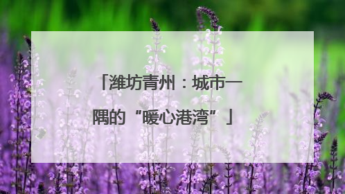 潍坊青州：城市一隅的“暖心港湾”