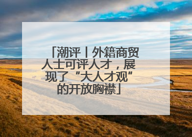 潮评丨外籍商贸人士可评人才，展现了“大人才观”的开放胸襟