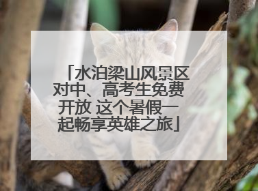 水泊梁山风景区对中、高考生免费开放 这个暑假一起畅享英雄之旅