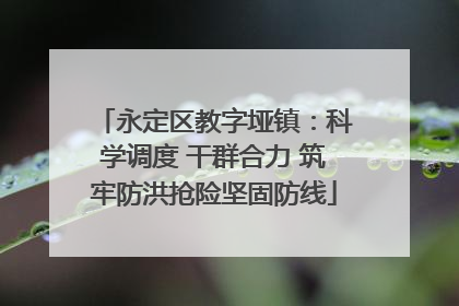 永定区教字垭镇：科学调度 干群合力 筑牢防洪抢险坚固防线
