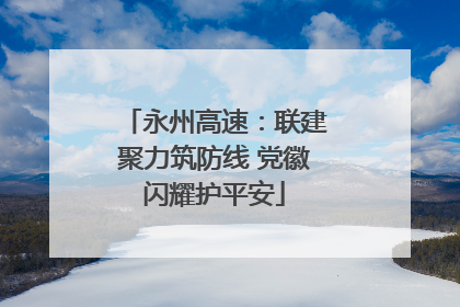 永州高速：联建聚力筑防线 党徽闪耀护平安