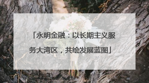 永明金融：以长期主义服务大湾区，共绘发展蓝图