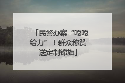 民警办案“嘎嘎给力”！群众称赞送定制锦旗