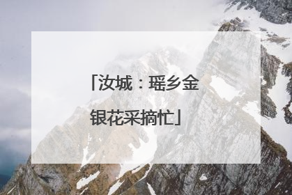 汝城：瑶乡金银花采摘忙
