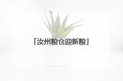 汝州粮仓迎新粮