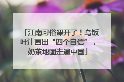 江南习俗课开了！乌饭叶汁画出“四个自信”，奶茶地图走遍中国