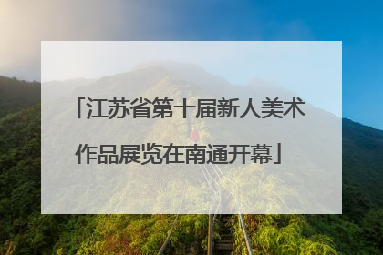江苏省第十届新人美术作品展览在南通开幕