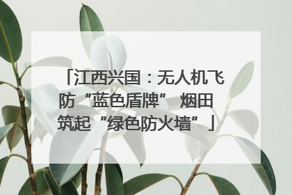 江西兴国：无人机飞防“蓝色盾牌” 烟田筑起“绿色防火墙”