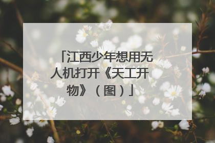 江西少年想用无人机打开《天工开物》（图）