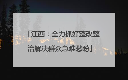 江西：全力抓好整改整治解决群众急难愁盼
