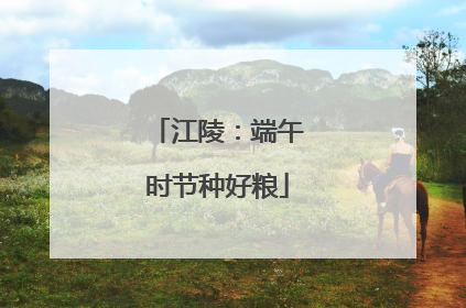 江陵：端午时节种好粮