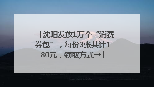 沈阳发放1万个“消费券包”，每份3张共计180元，领取方式→