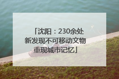 沈阳：230余处新发现不可移动文物重现城市记忆