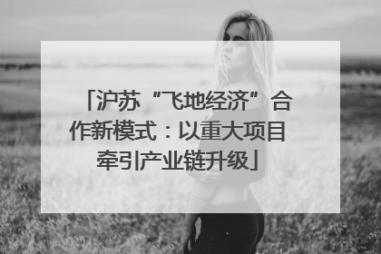 沪苏“飞地经济”合作新模式：以重大项目牵引产业链升级