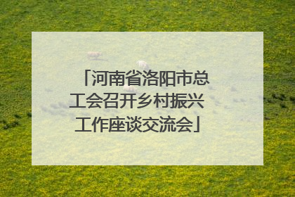 河南省洛阳市总工会召开乡村振兴工作座谈交流会