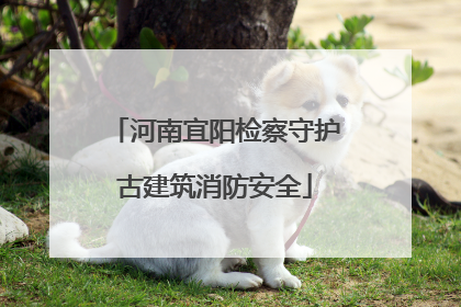 河南宜阳检察守护古建筑消防安全