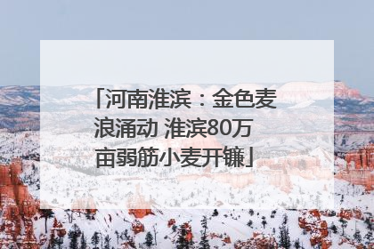 河南淮滨：金色麦浪涌动 淮滨80万亩弱筋小麦开镰