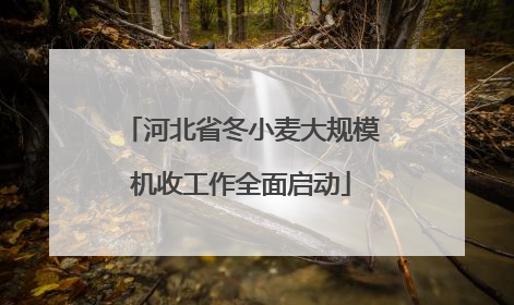 河北省冬小麦大规模机收工作全面启动
